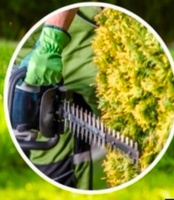 http//morleygardener.com