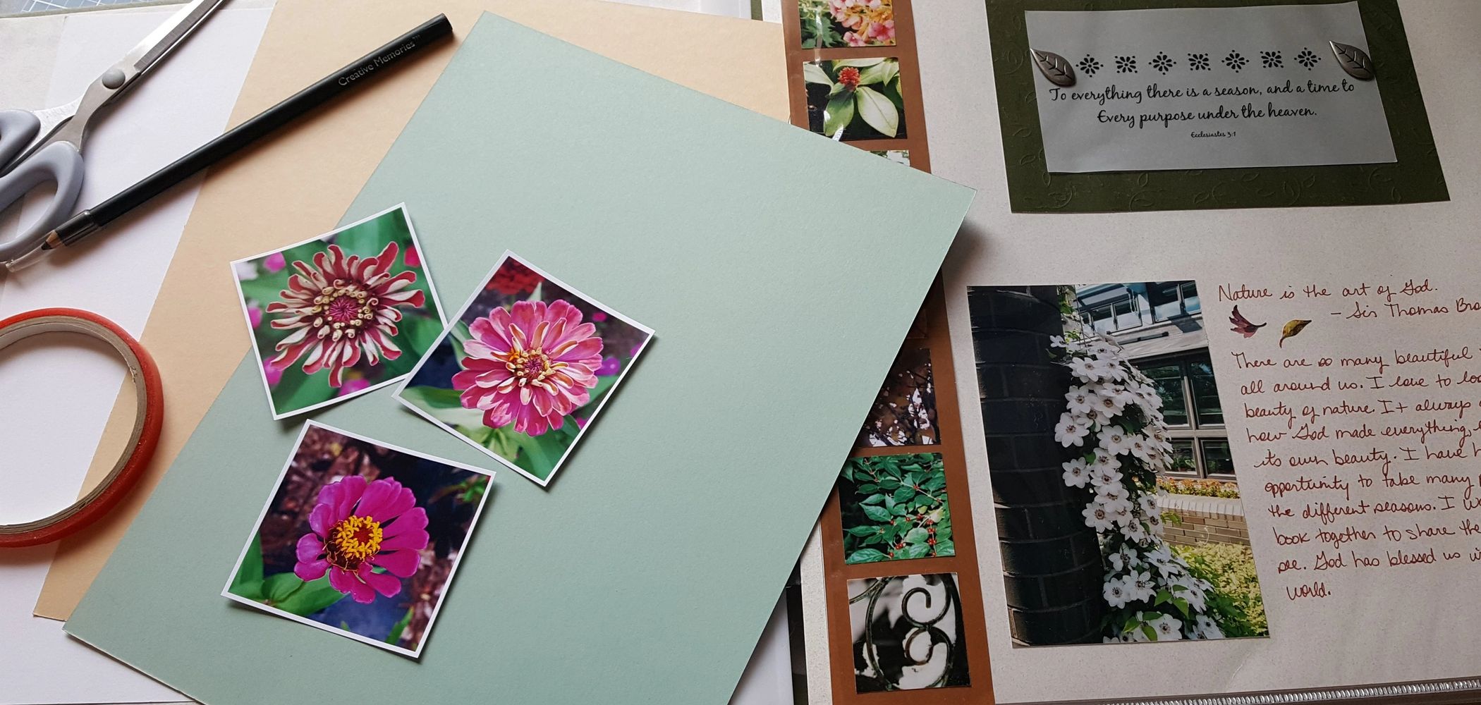 Helping you organize and create  memorable scrapbook albums