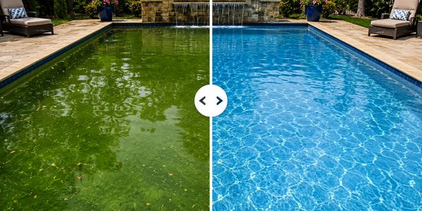 A pool split showing dirty green water on the left and clean blue water on the right.