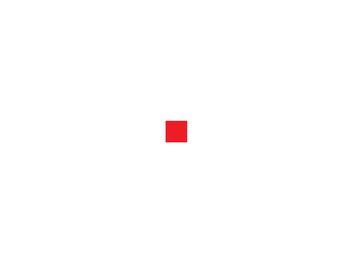 A small red square centered on a white background.