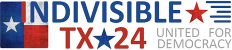 Indivisible Tx 24