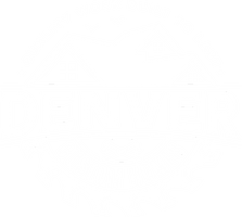 Denver Custom Homes 