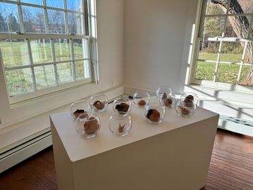 Small sculptures displayed in glass bowls on a white pedestal in a sunlit room.
