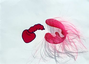 Microscopic view of two red-hued, translucent aquatic organisms with flowing appendages.