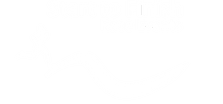 Start to Finish Race Events