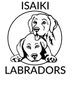 ISAIKI LABRADORS