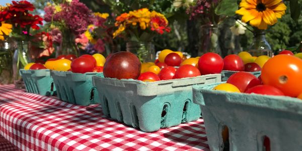 Locally grown organic cherry tomatoes and flowers