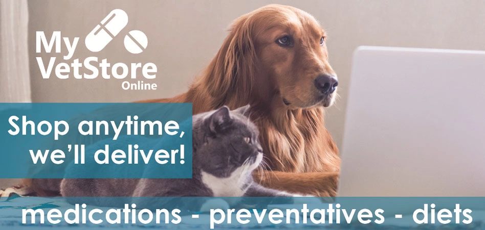 are dogs meds safe to buy online