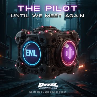 The Pilot - Until We Meet Again cover art