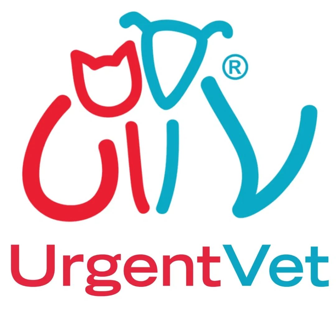 Southside Veterinary Clinic