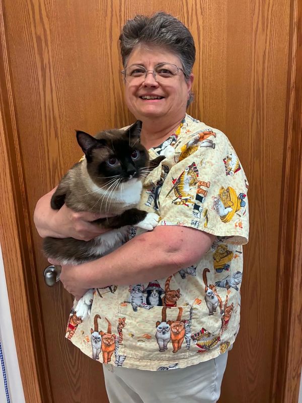 Woman holding a Siamese cat indoors.