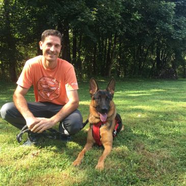 Man kneeling on grass with a German Shepherd dog.