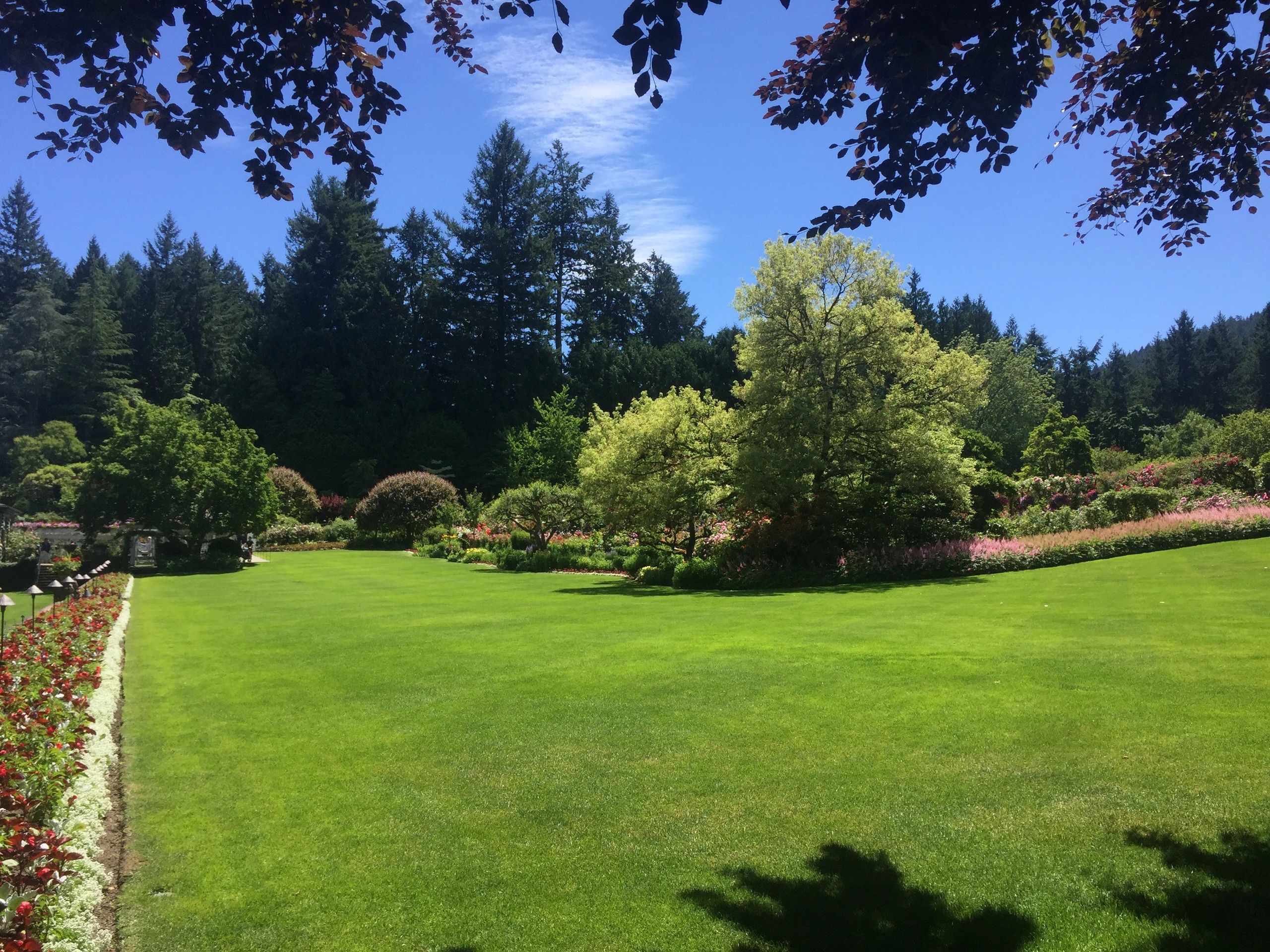 Gallery Sea of Green