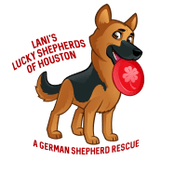 Lani's Lucky Shepherds of Houston - A German Shepherd Rescue