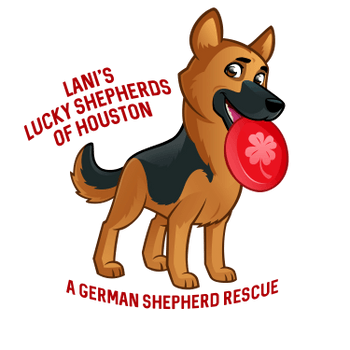 Lani's Lucky Shepherds of Houston - A German Shepherd Rescue