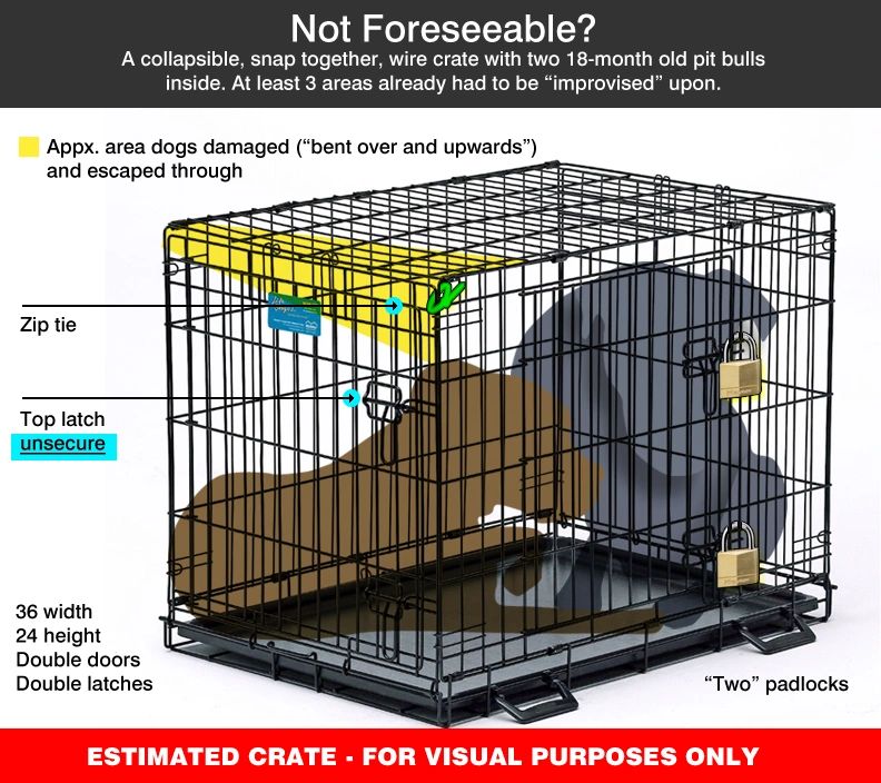 can you crate dogs together