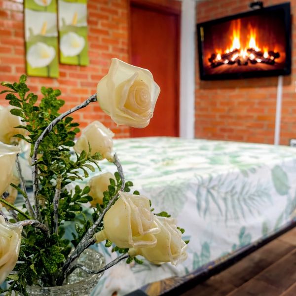 Un espacio donde la naturaleza y la comodidad se unen para regalarte renovación y bienestar.