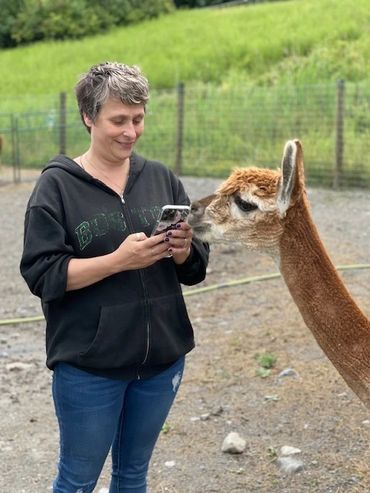 No woman take a picture Friendly alpaca 