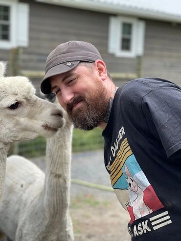 alpaca With man taking a picture