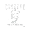 Crannog WK9