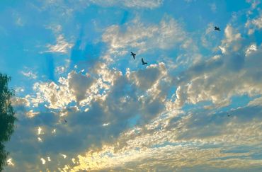 Radiant sun glowing behind a layer of soft, white clouds