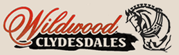 Wildwood Clydesdales
