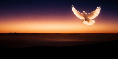 A dove flying in sunset: "God is Ready, Are You"