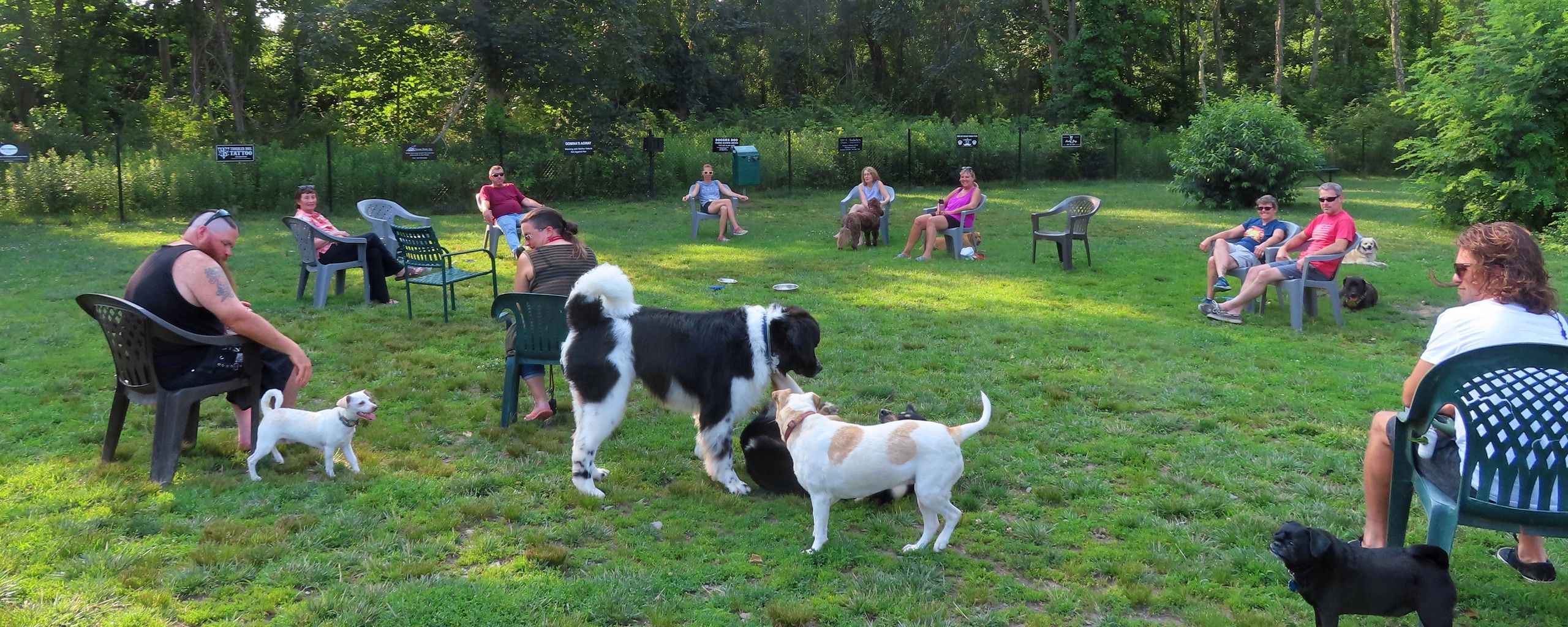 Dog Park Portsmouth RI Dog Park