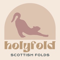 Holyfold Cattery