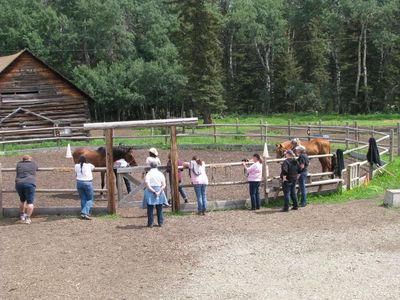 hands-on horse training with a group of students