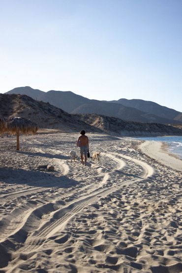 Person walking two dogs on a sandy beach with mountains in the background.