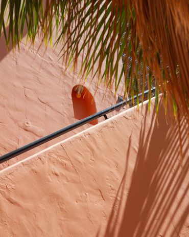 Sunlit peach-colored wall with palm leaves and a diagonal metal railing.