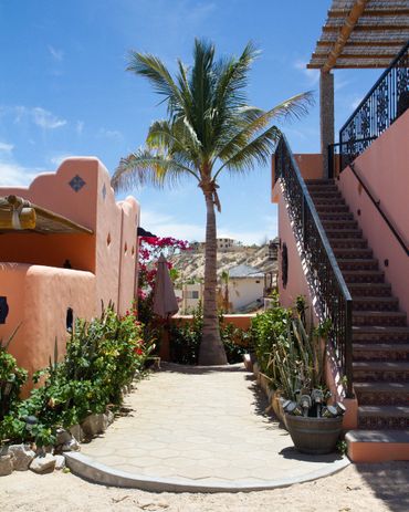 Sunny courtyard with palm tree and desert-style buildings.