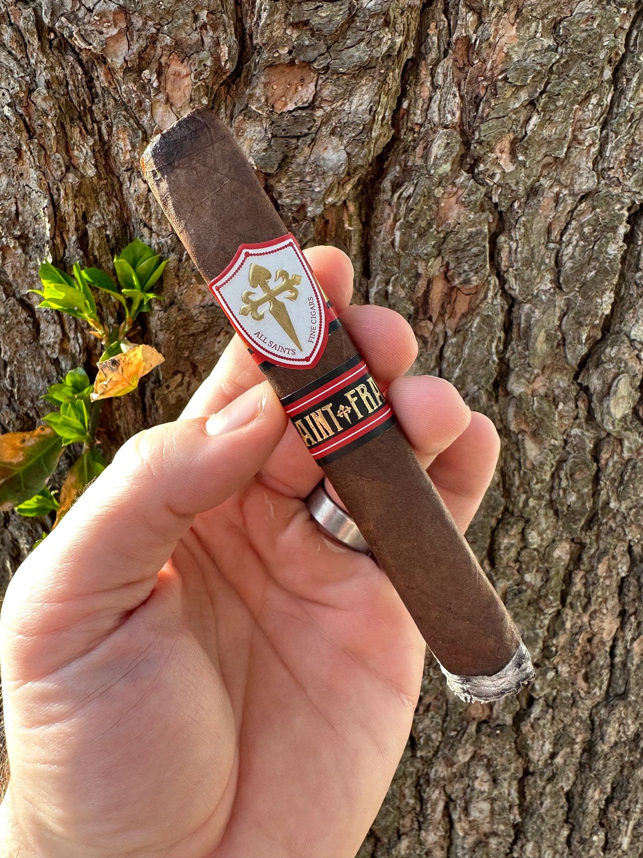 al rayan tobacco Picture Review] Al Rayan Mint with Gum - hookah post
