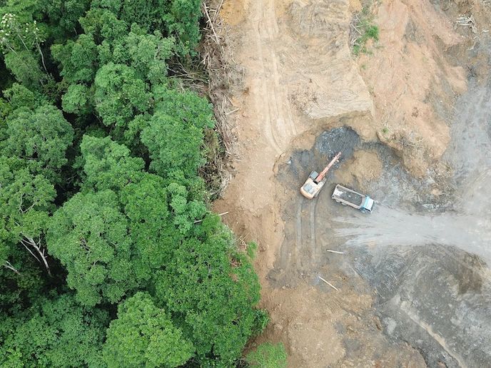 Deforestation of the Amazon Rainforest