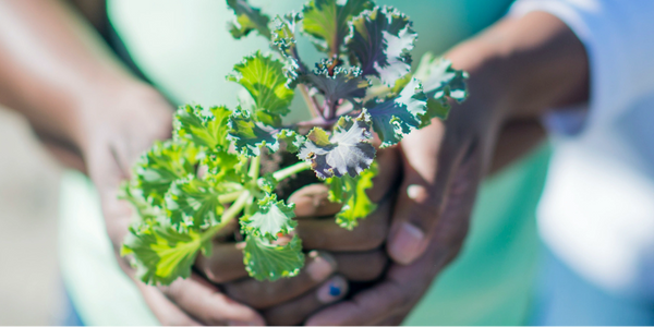 Woman holding a green plant