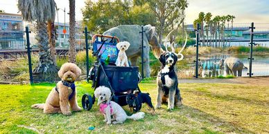 dogs at tar pits los angeles