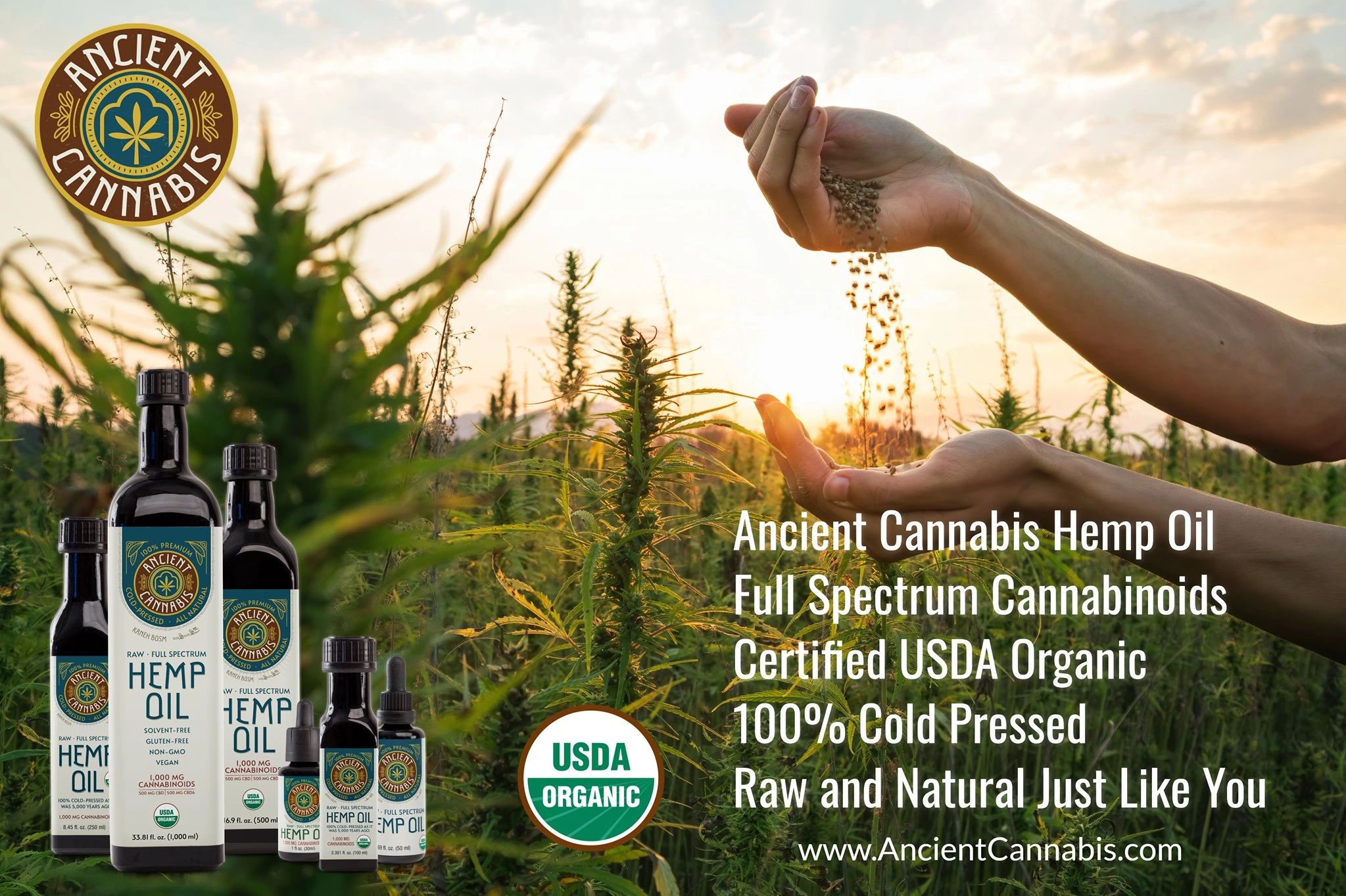 Ancient cannabis USDA Organic full spectrum CBD oil 