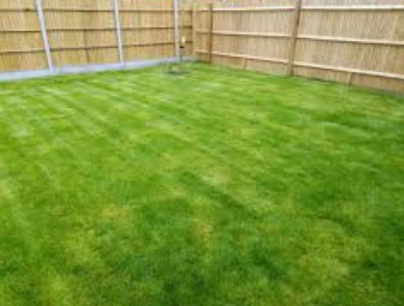 Grass cutting Service covering Stepps and the  surrounding areas.