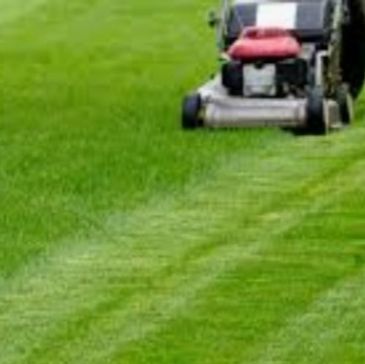 Grass cutting and hedge cutting service. Precise cuts, Grass maintenance, reliable Gardening service.