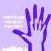 The Pilsen Promise Project