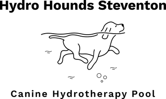 Hydro Hounds Steventon
Canine Hydrotherapy Pool 