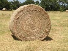 Hay for Sale in Central Arkansas
Square Bales for Sale
Round Bales for Sale
Hay for Sale in Arkansas