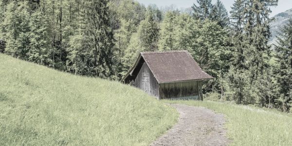 A small wooden cabin on a grassy hillside.
