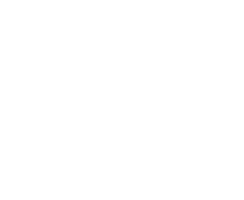 cassandraclemons.com