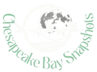 Chesapeake Bay Snapshots