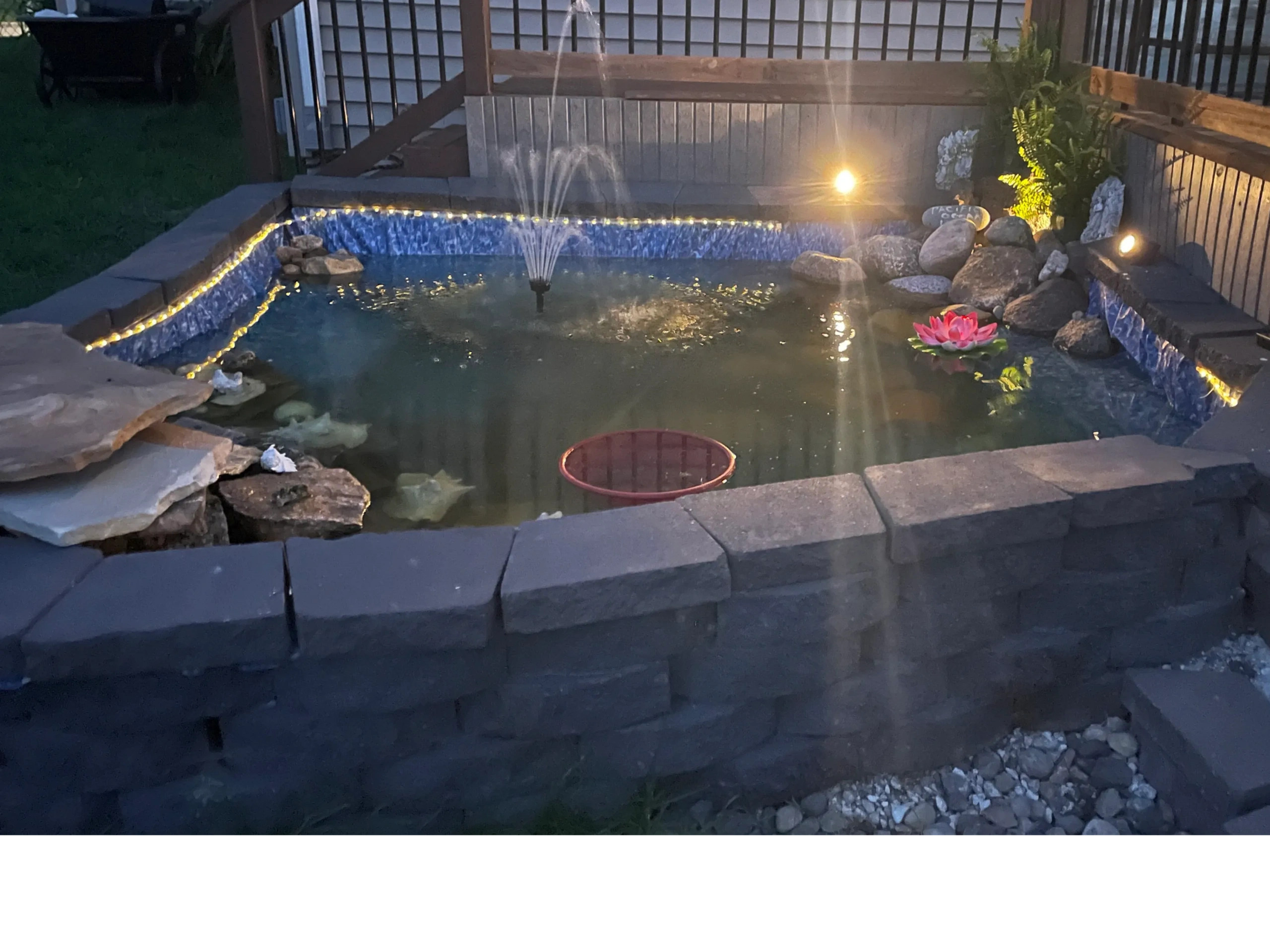 Transform your backyard into a serene oasis with a stunning koi pond! 