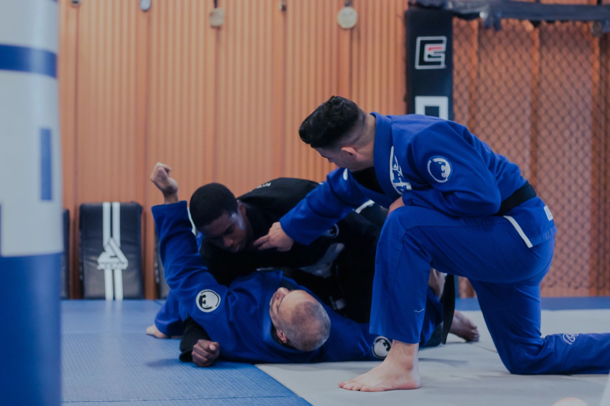 Two martial artists in blue gis spar with an instructor in black inside a gym.