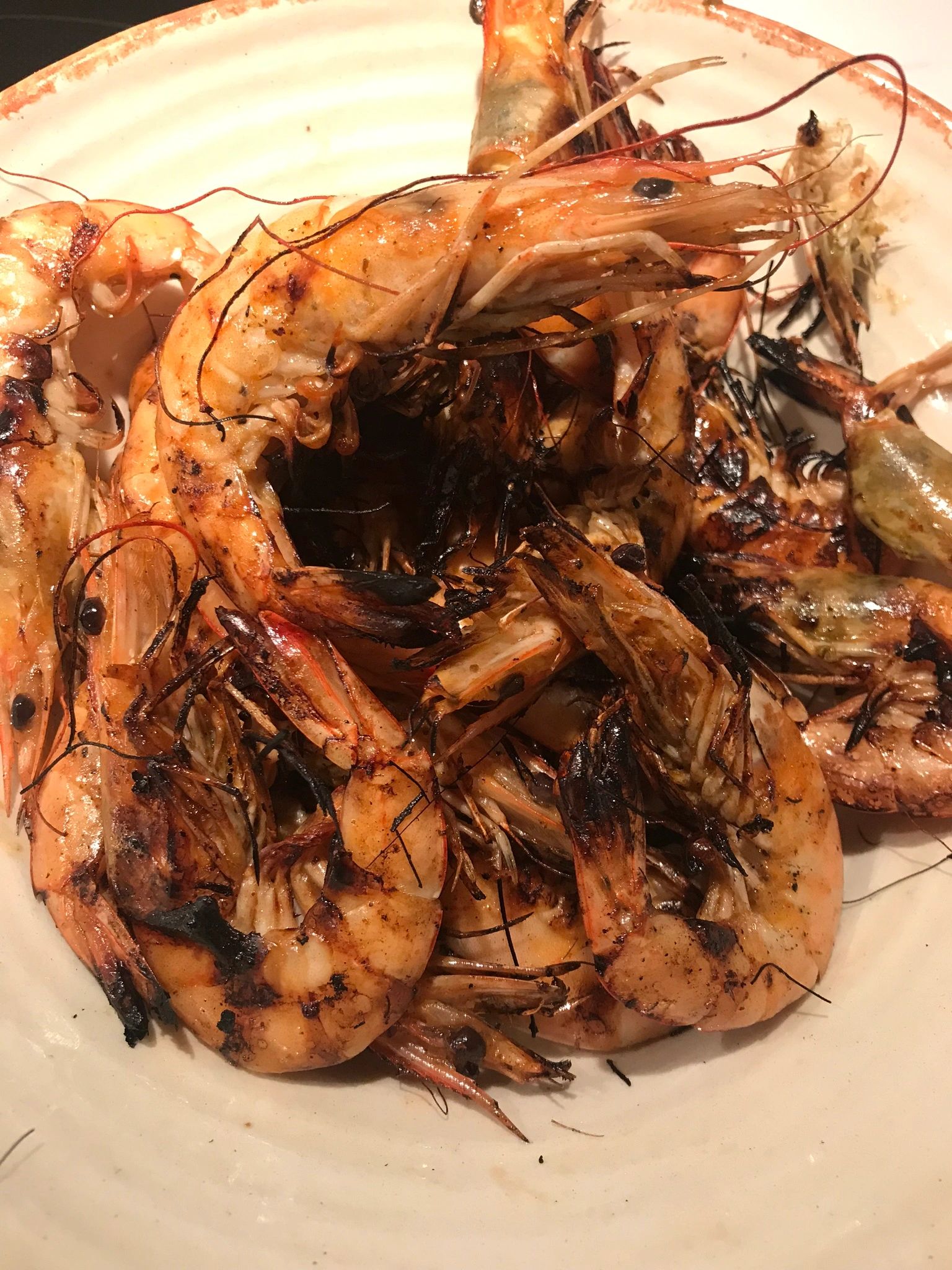 shrimp-today-11-29-3pm