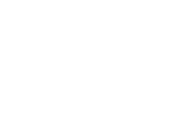 starrockett